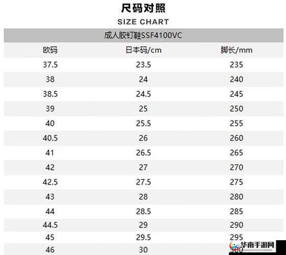 欧洲尺码日本尺码专线美国 T 时尚探秘