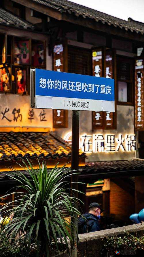 叶英书信漂泊之约：千里传音，细诉思念，破解攻略之旅
