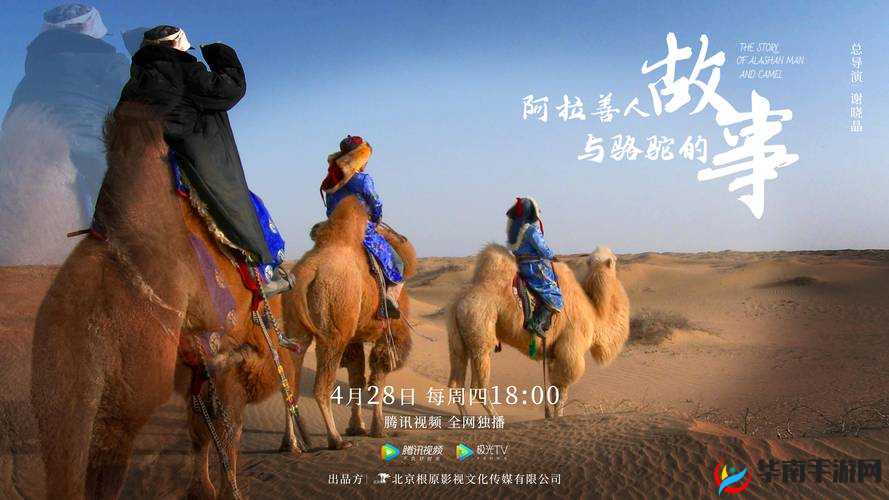 惠比寿的家庭教师之谜：一段不为人知的传奇故事