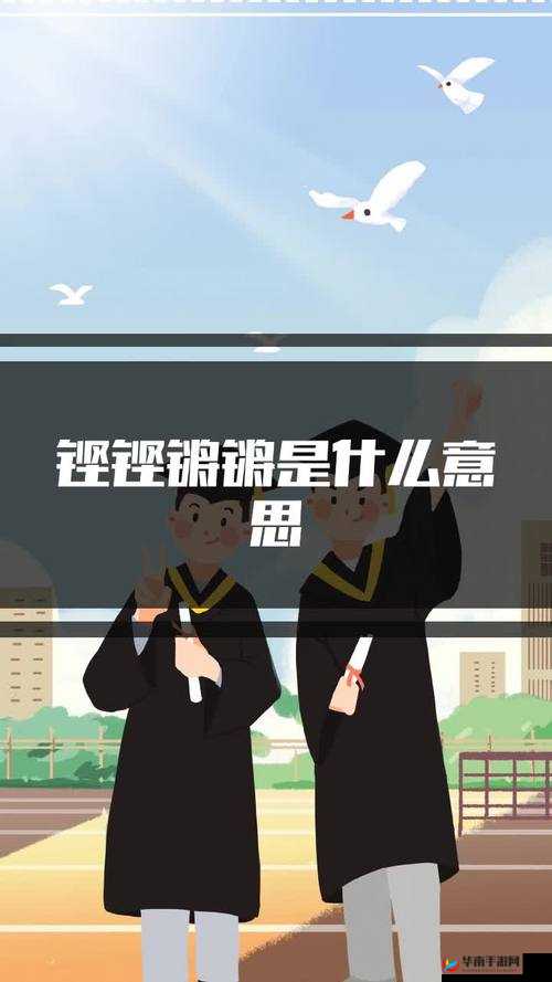 铿铿铿锵锵锵锵免费观看：精彩不容错过