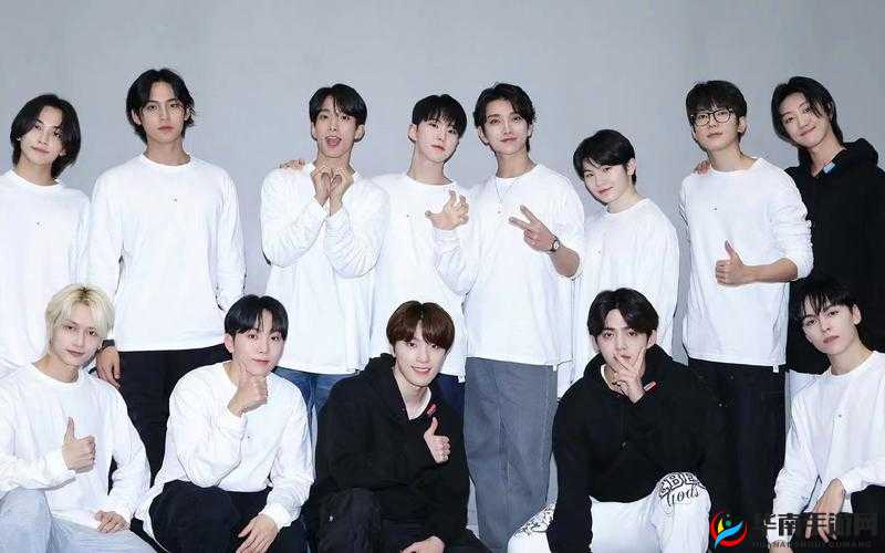 小姐姐看 SEVENTEEN：韩流魅力无法阻挡