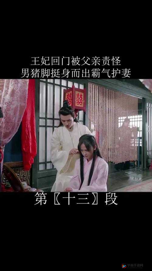 王妃回门-然后被自己父亲欺负太可怜