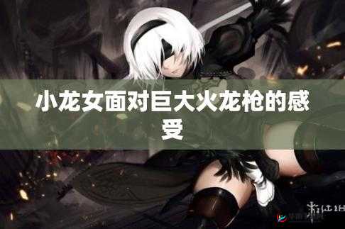 小龙女只感觉哪支巨大的火龙枪：背后的秘密