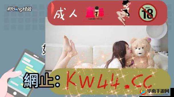 必看无人区一码二码三码详细解析