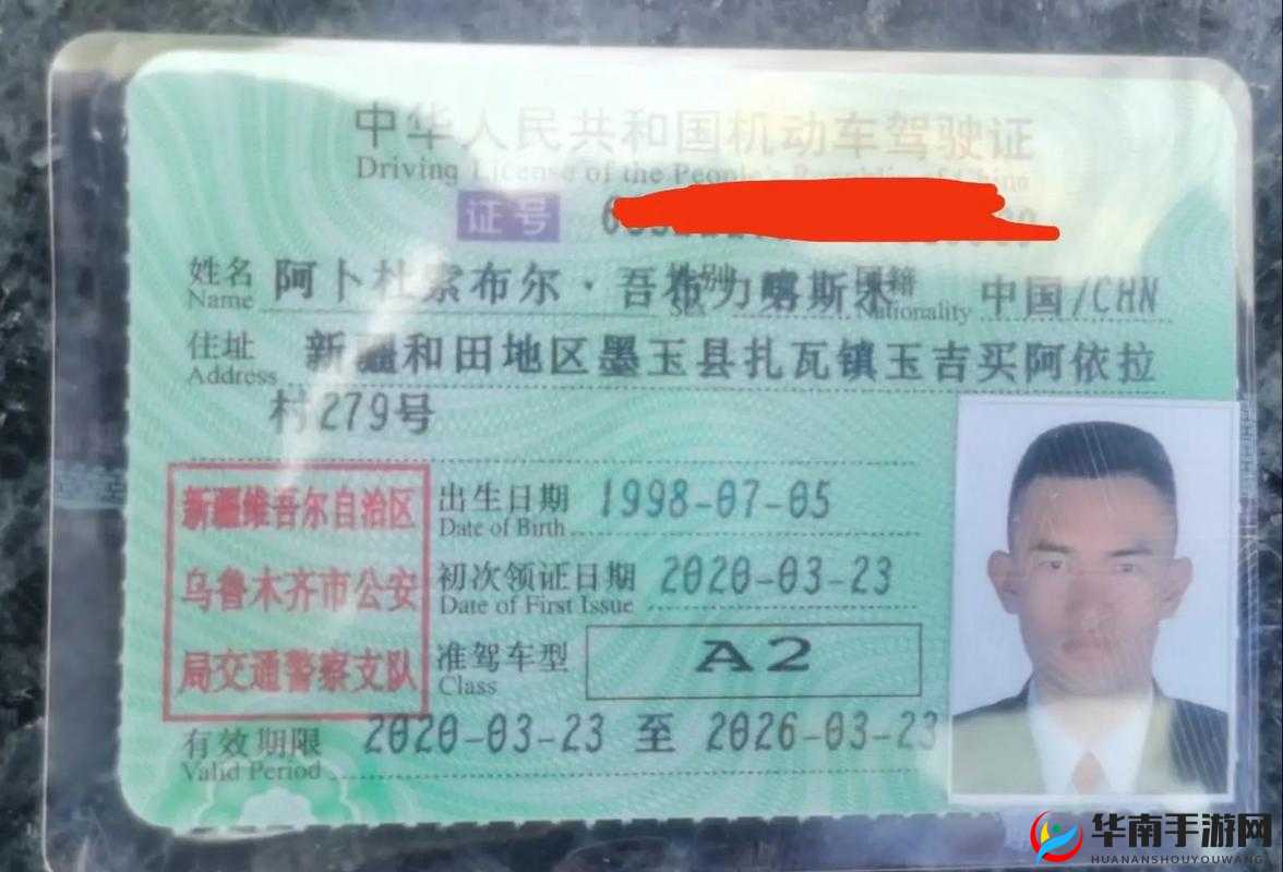 国产 A1a2a31：关于它的介绍