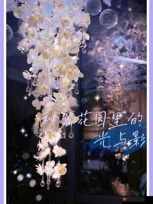 镜光之舞：探索光影的秘密花园