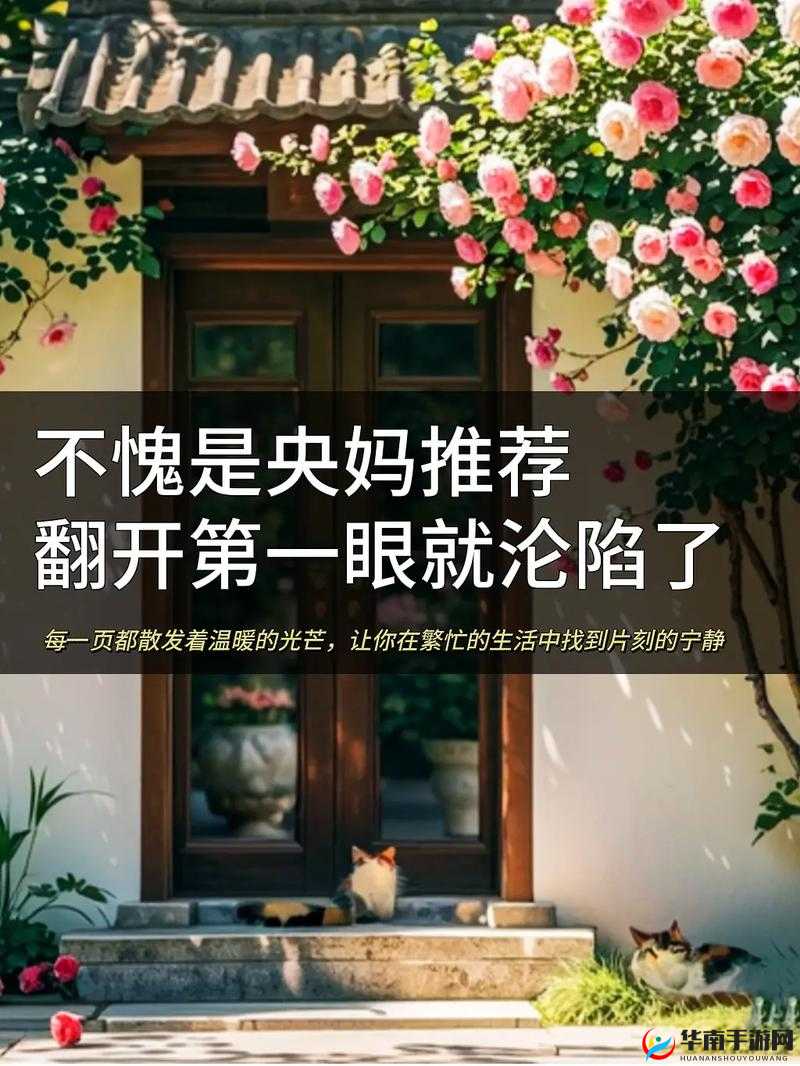 田间欢笔趣阁：带你领略不一样的故事世界