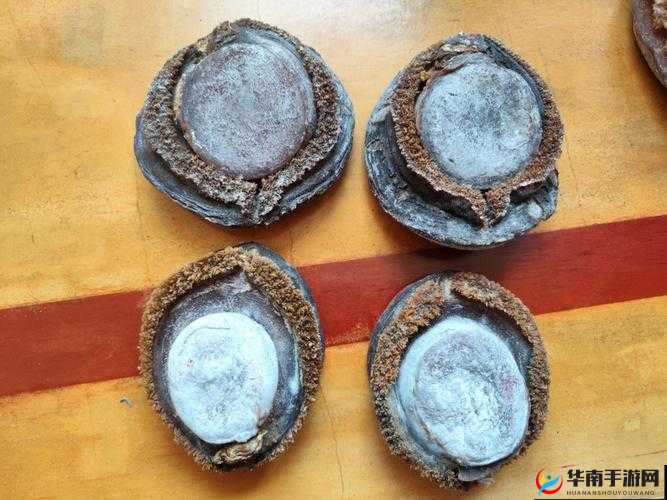 牛奶和鲍鱼能一起吃吗：相关饮食疑问解答