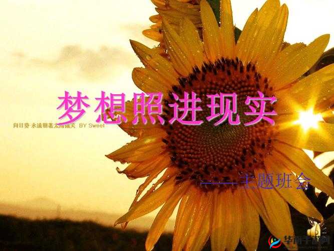 给我 C1V1SC ：让梦想照进现实