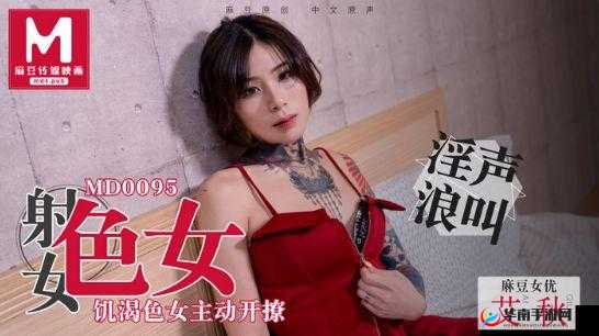 麻花传 MD0076：一部精彩的作品