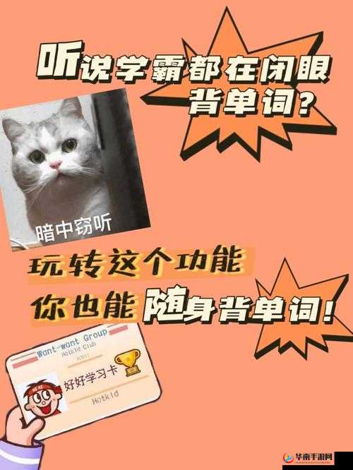 坐在学霸的鸡上背单词双楠的独特学习体验