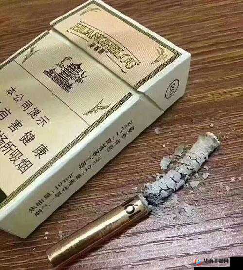 绮惧搧1鍗2鍗3鍗4鍗佺嫾：独特的表述
