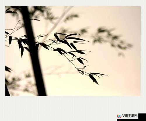 浜虹嫍鑳堕厤鏂瑰ぇ鍏：探寻神秘的历史遗迹
