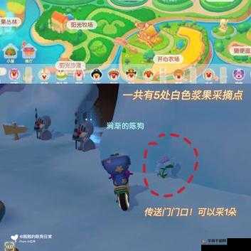 摩尔庄园白色浆果获取地点详解