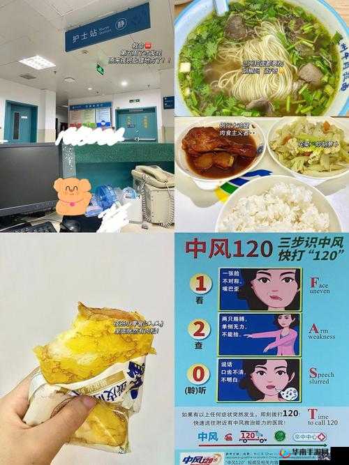 肉食教师食取报告 3HD：深度解析