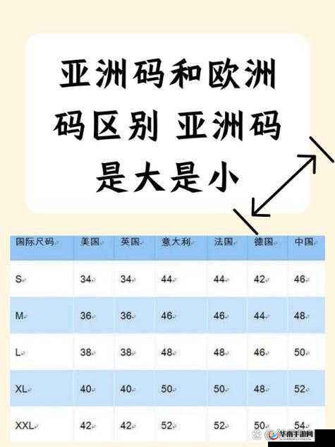 亚洲尺码和欧洲尺码专线：差异与选择