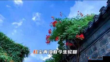 忘忧电台，风陵渡上的蛇年新春美丽邂逅与深情情感交织