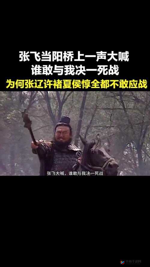 揭秘张飞长坂坡震天一吼，历史迷雾下被吓死者的惊人真相