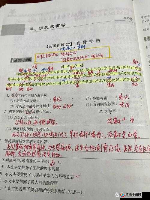 刮骨疗伤故事中主角角色映射，资源管理中的核心地位与高效策略解析