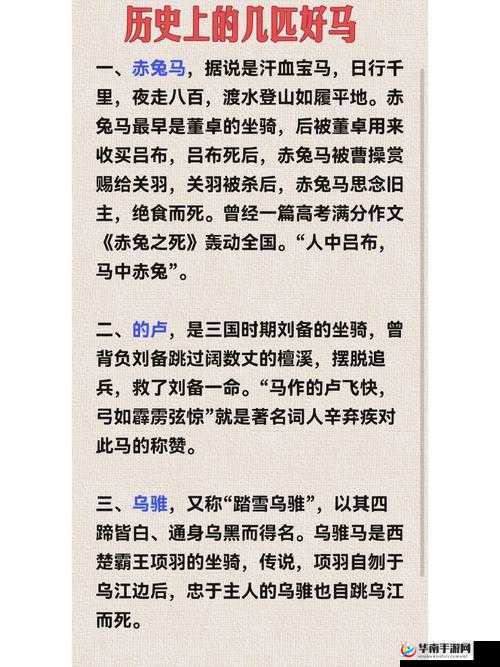 的卢马作为历史名将坐骑的象征，在资源管理中的重要性及高效利用策略探讨