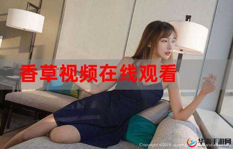 草莓视频在线观看直播ios下载：带你体验精彩视频世界