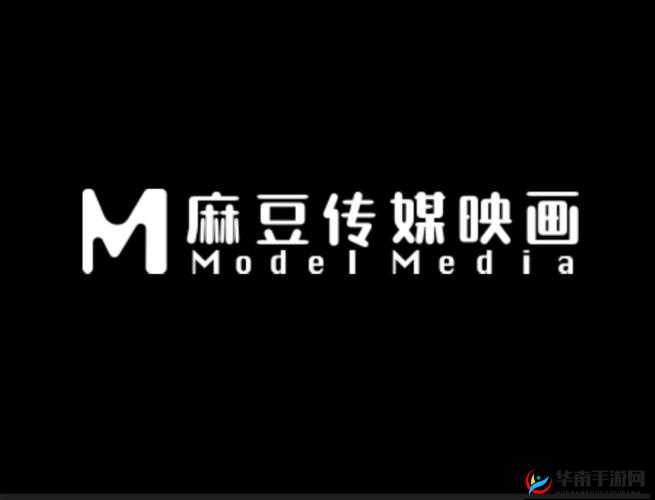麻花传媒 MV 与其他传媒公司比较：探究创意与制作的差异