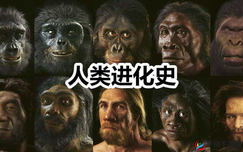 谁是人类文明的先驱：亚洲人还是欧洲人？