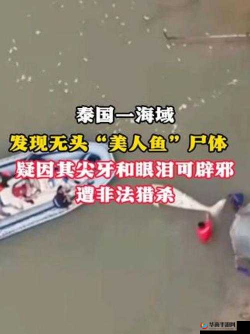海角  偷腥大神：揭示神秘面纱的真相
