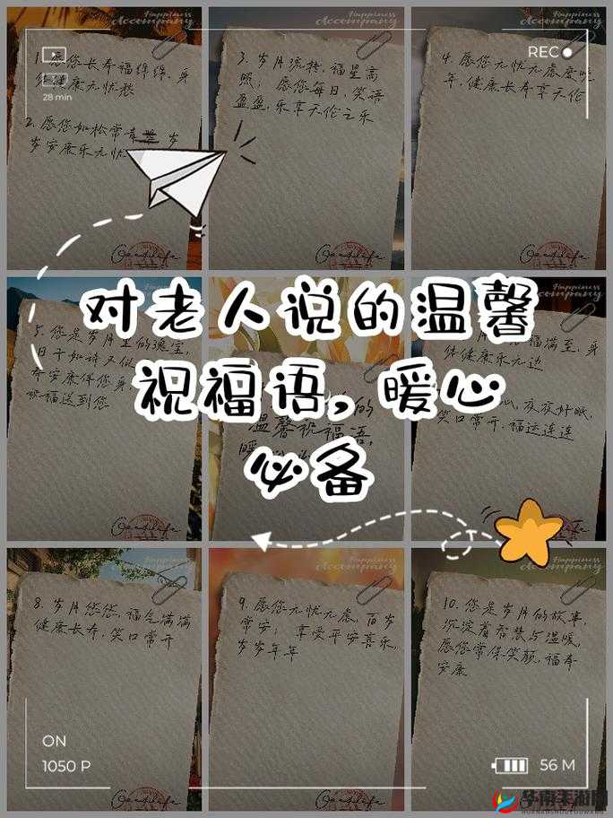 爱的坚守，回顾与杨宁共度的2025年春节前温馨岁月