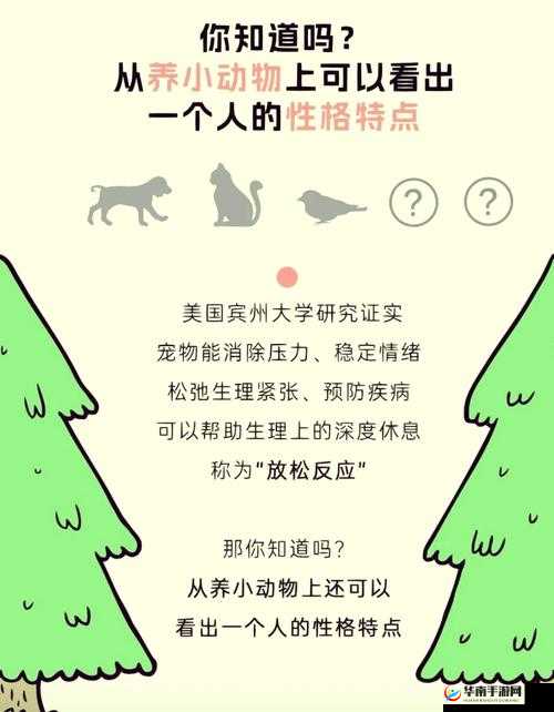 人Or猪Or狗已彻底下架：引发广泛关注与深度思考