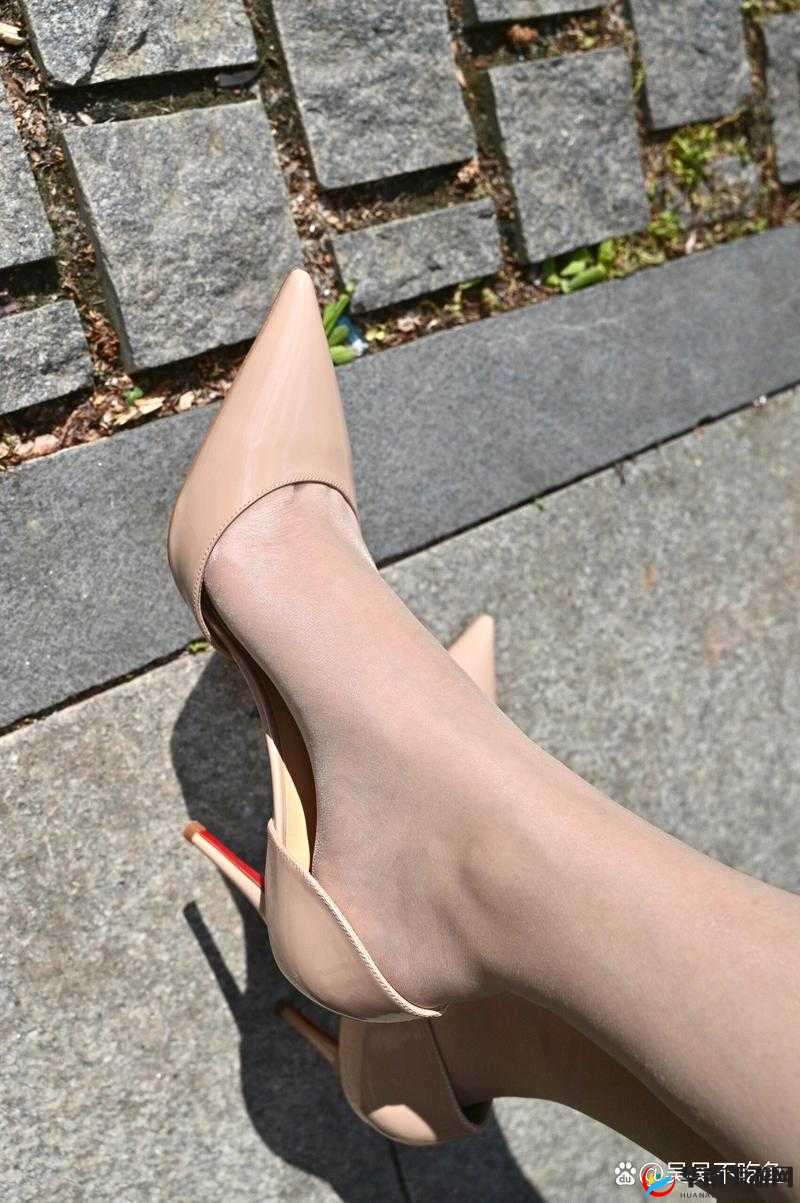 HIGHheelsXXXHD ：展现魅力与时尚的独特高跟鞋风采