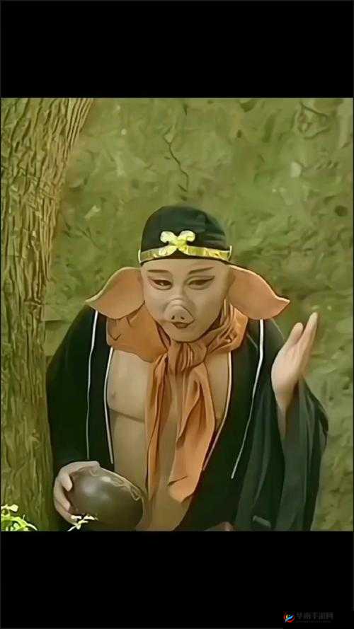 八戒八戒在线看：观看精彩视频，尽在这里