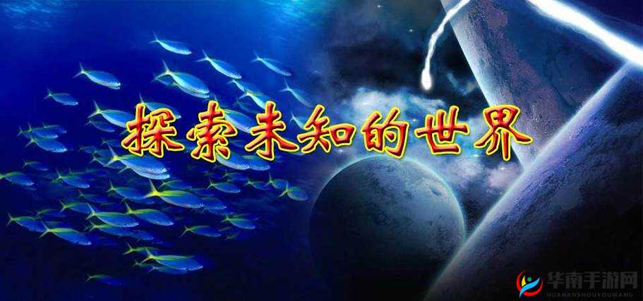 探索第七色区：未知的世界与无限可能