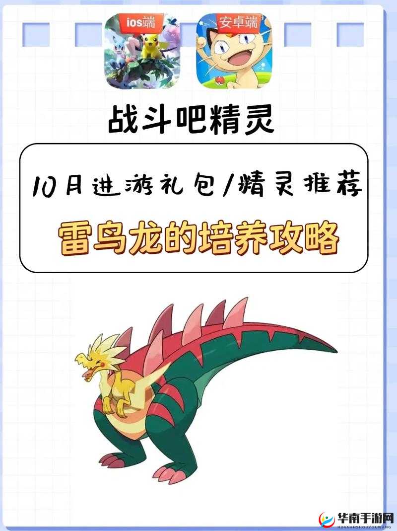 宝可梦剑盾深度解析，雷鸟龙的获取途径与全面培养攻略