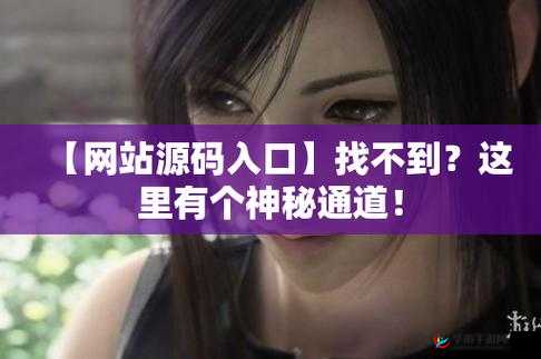 成品网站源码 1288 隐藏通道：揭开神秘面纱