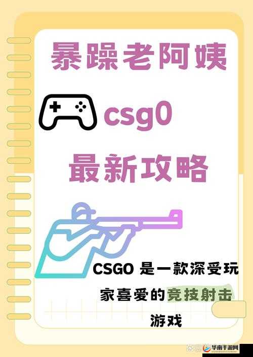 暴躁老姐在 CSGO 中的热血激战与独特风采