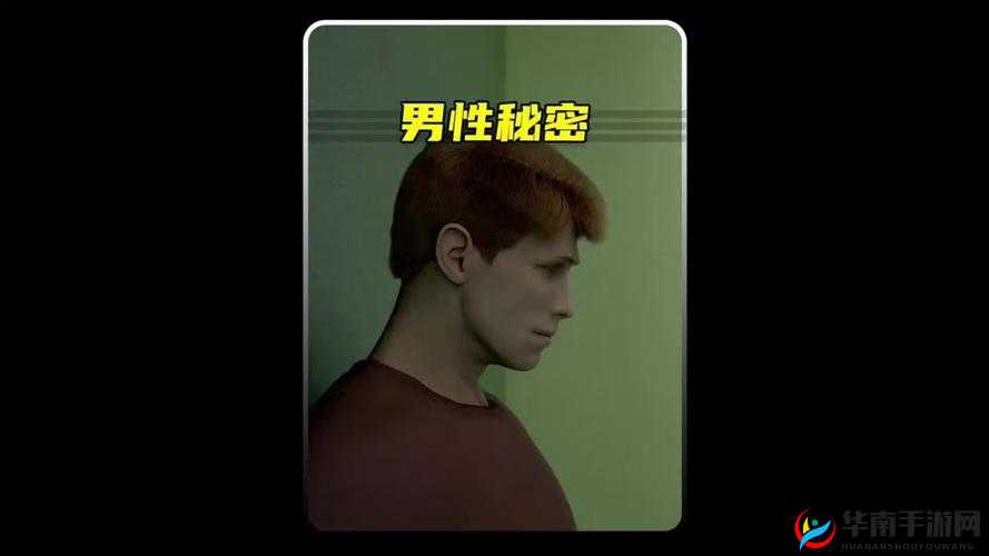：男人私密部位的探索与发现：奥秘与困惑