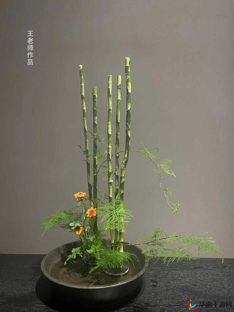 插花弄玉曲径通幽又重新上线了：精彩内容全新呈现