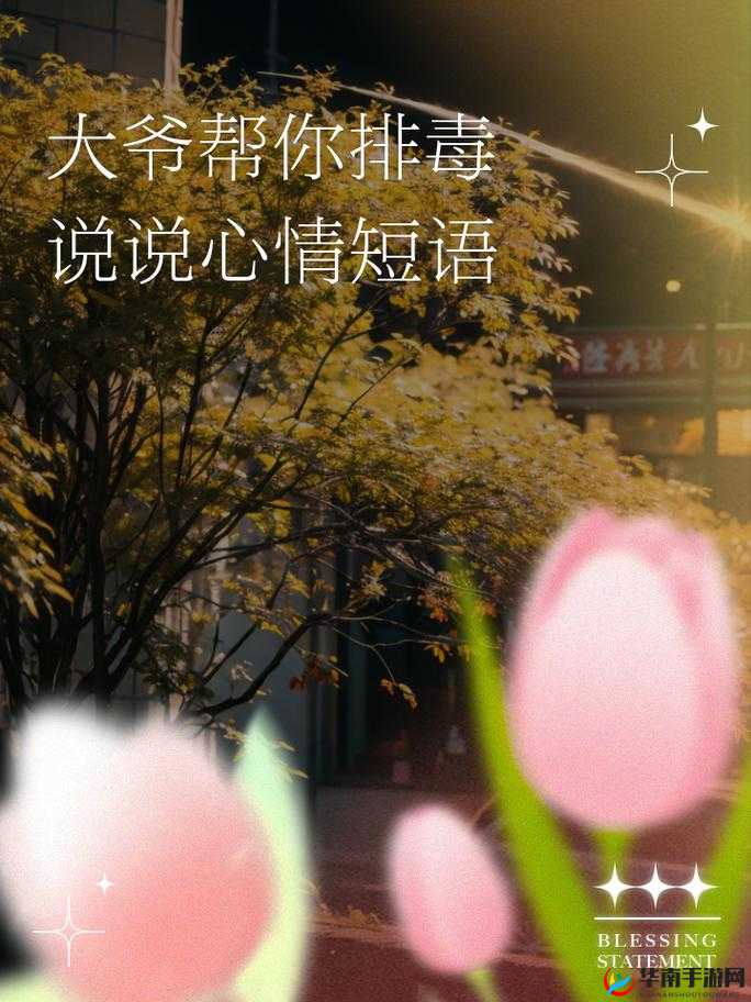 让大爷再帮你排毒：一场奇妙且神秘的经历