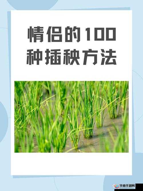 男女插秧二十三方法详解：独特插秧技巧全呈现
