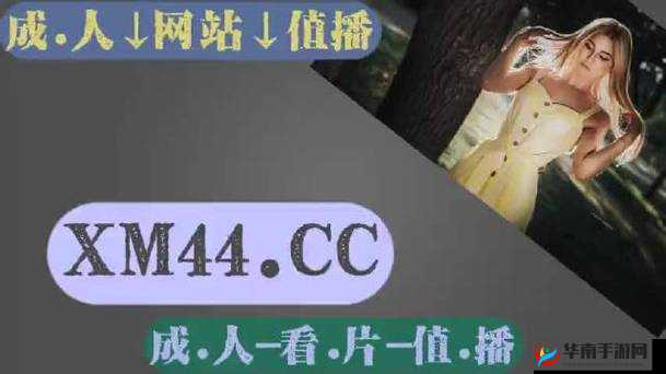 搞机 TIME 恶心网：探索新奇科技与独特体验
