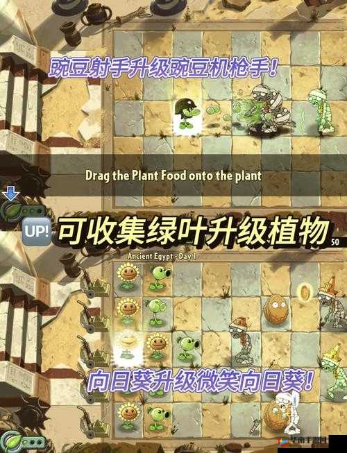 植物大战僵尸2滚筒危机高效通关策略，植物使用技巧与秘籍全面大揭秘
