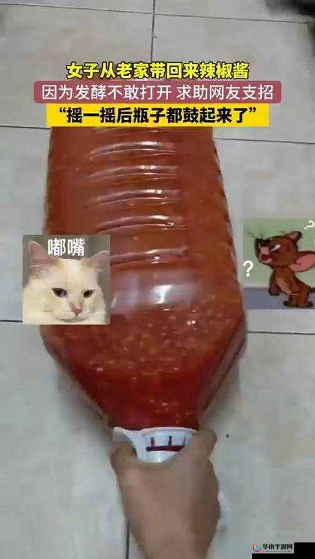 压在墙上酱酱酿酿的叫什么：探寻背后隐藏的故事与情感