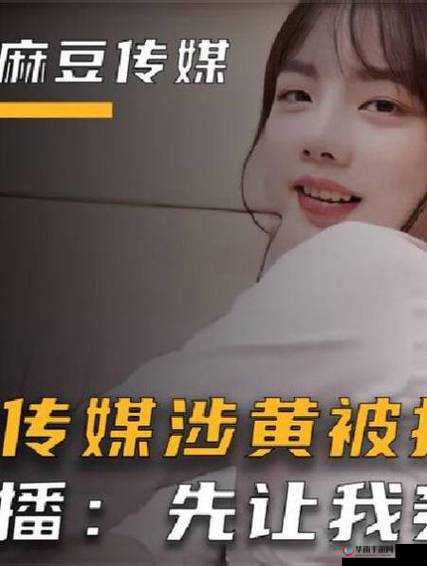 国产精品传媒密麻豆 Hd：探索中国影视产业的新起点