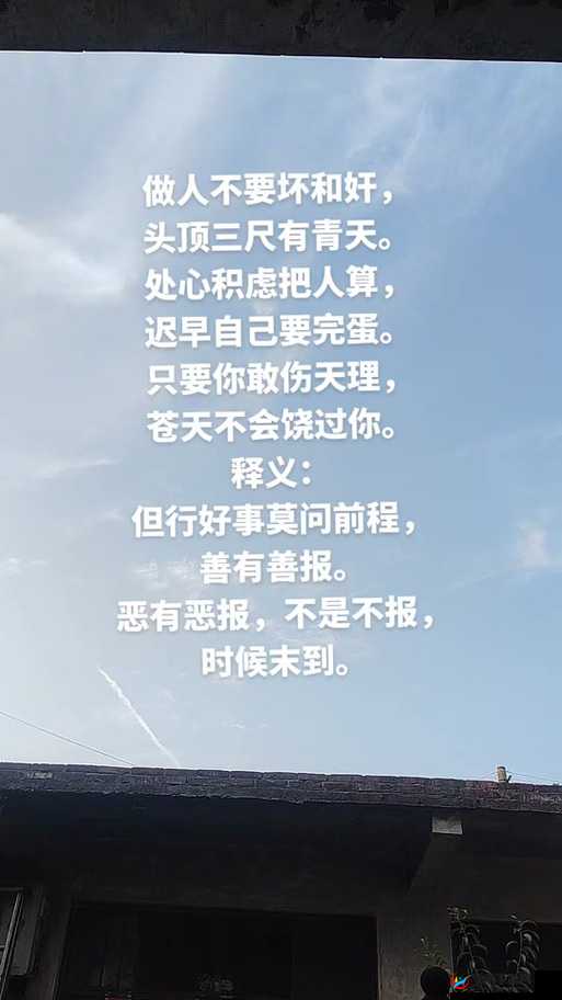 696969 大但人 正道：探寻独特的人性与正道之径