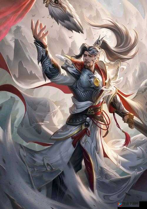 三国志幻想大陆深度攻略，姜维实战技巧与秘籍全解析