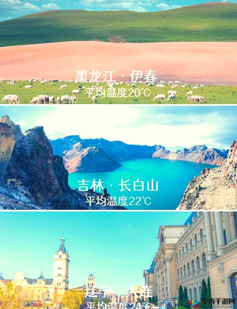 强烈推荐：伊春园 2023 入口直达大象，精彩不容错过