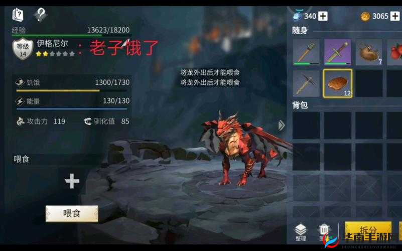 冰原守卫者生存智慧揭秘，食物制作技巧及其对生存的重要性