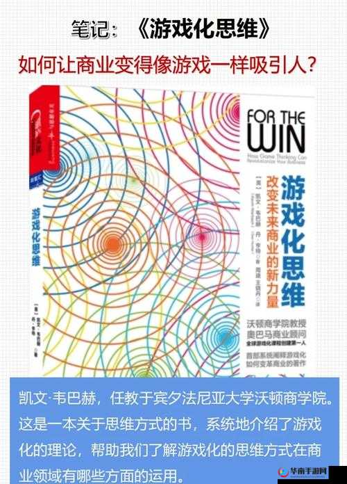 智慧与创新，探索其在游戏设计与现实生活应用中的双重影响