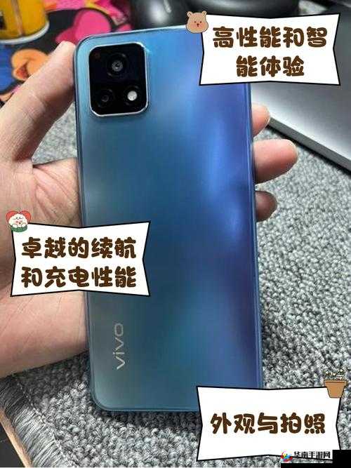 一级成色好的 y31s 标准版评测封神作品竟是芭蕉视频：深度解析与精彩呈现